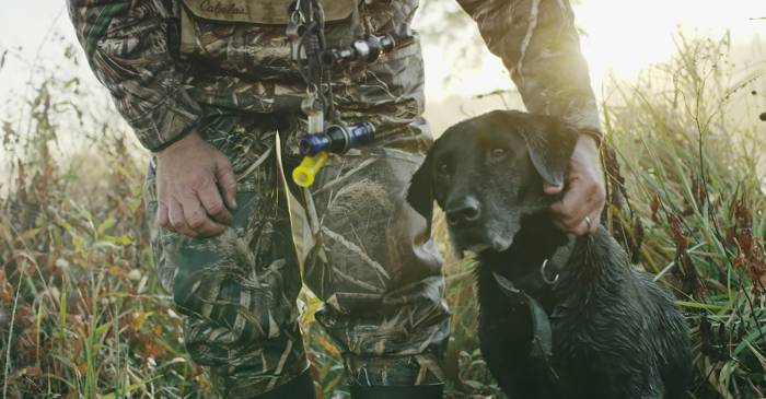 Watch: Year in the Life of Hunting Dog