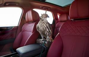 The ‘Fastest SUV’ in the World Is Built for Falcons