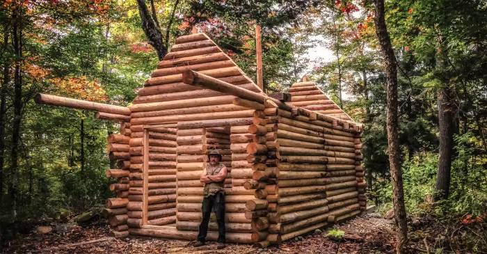 Log cabin in woods timelapse