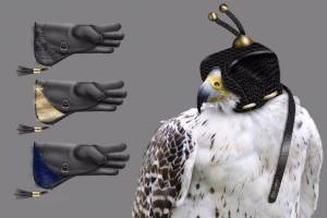 No Bird Included: This Falconry Set Costs $120K