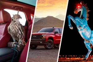 GJ Week In Review: Best Bows, Chevy 2019, Falcon SUV