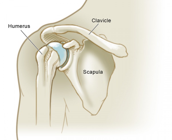 shoulder blade pain symptoms and treatment