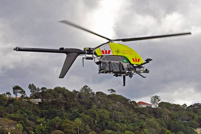 Little Ripper Drone rescue