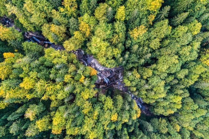 Patagonia Blue Heart dams in Balkans