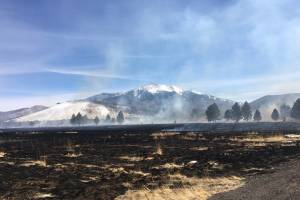 Drone Crash Ignites Wildfire in National Forest