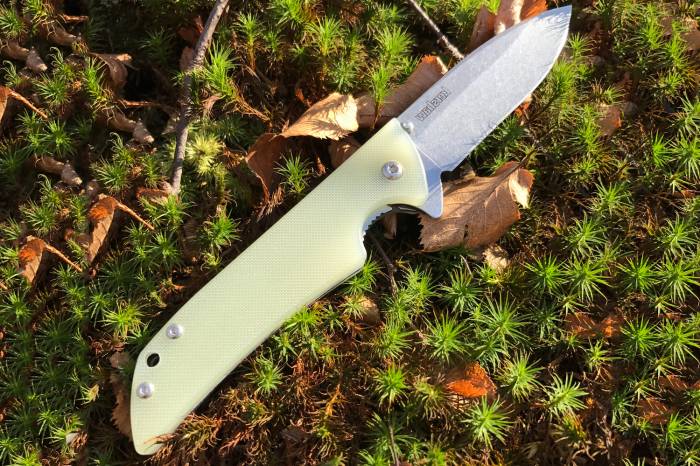 kershaw skyline folding knife