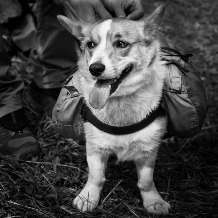 Appalachian Trail hiker