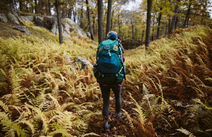 Save Big: 50% Off REI Co-op Gear