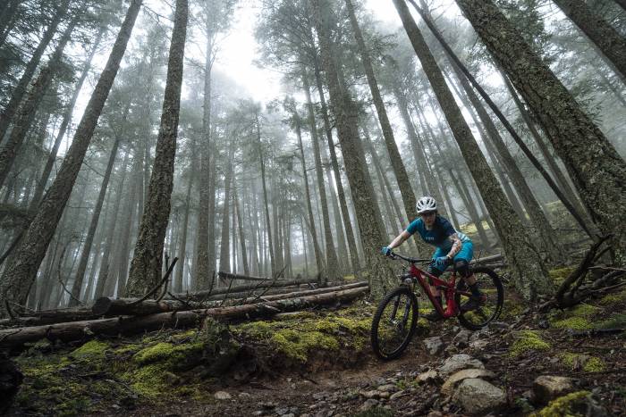 yet cycles sb100 29er