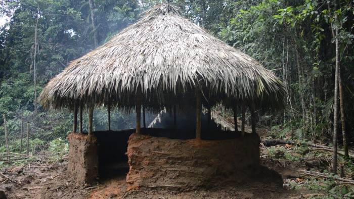 primitive technology round hut