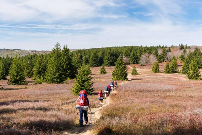 Penn State Outing Club hike in Dolly Sods Wilderness, West Virginia
