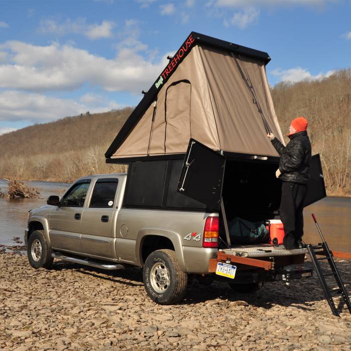 tree house roof top tent