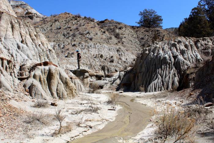 hiking trails in Theodore Roosevelt National Park