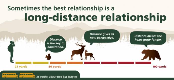 safe distance campaign