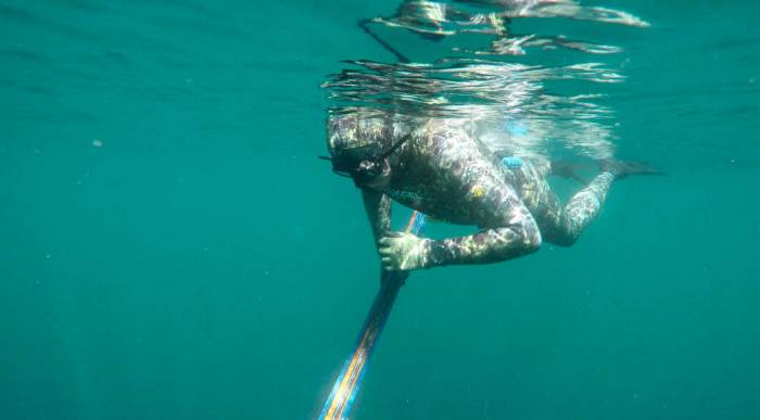 Xcel Thermoflex Free Diver TDC review