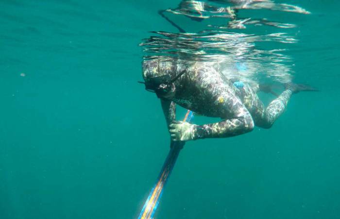 Minerals in a Wetsuit? Xcel Thermoflex Free Diver Review
