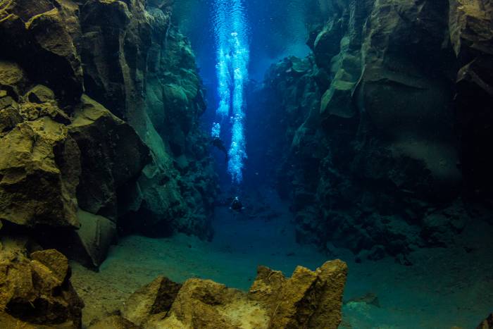 Jason Fox and Aldo Kane dive to hide Vollebak Extreme Discount Card