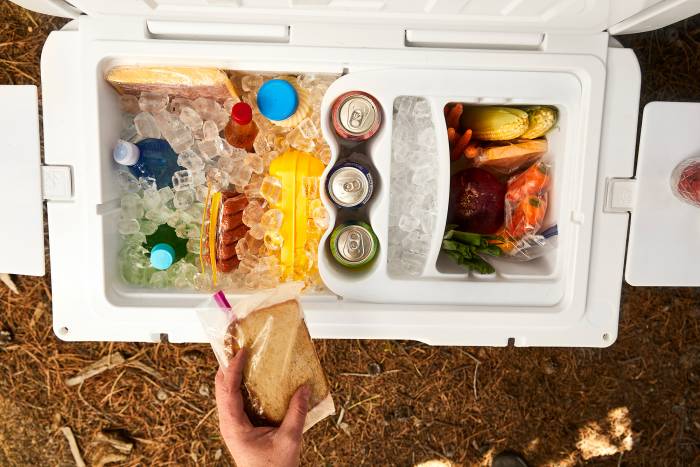 Joee cooler organization