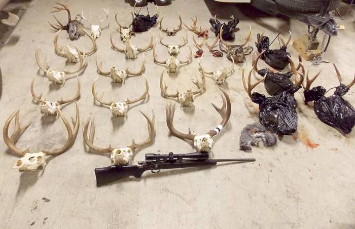 ‘Demented’ Poaching Ring Busted in Pacific Northwest