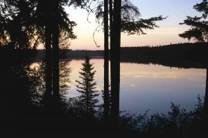 Canada Protects 4 New Parks, Forest Now Twice the Size of Belgium