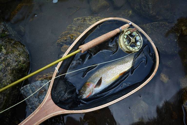 What's on Your Reel? Fly Line and Backing Explained GearJunkie