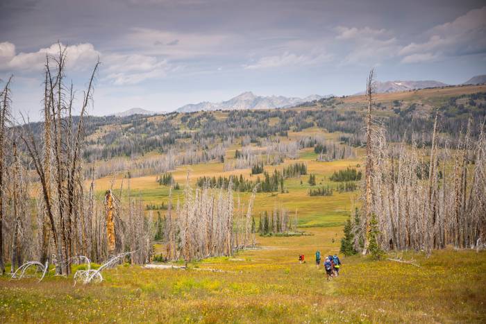 Continental Divide Trail