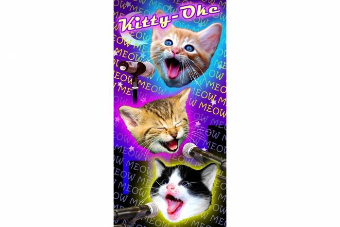 Cat Karaoke Towel