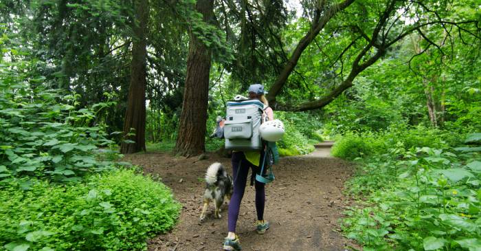 Rocky Butte Portland