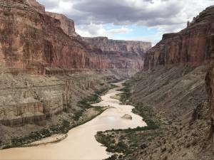 ‘Buckets of Uranium’ Exposed Grand Canyon Visitors to Radiation, Report Alleges