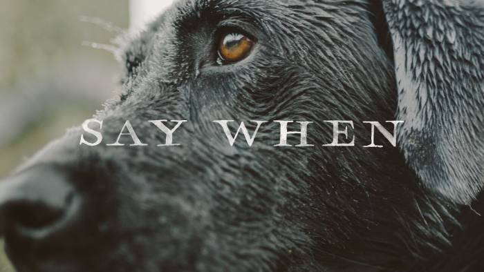 Hunter’s Best Friend: Watch Trainer Shape Great Gun Dogs