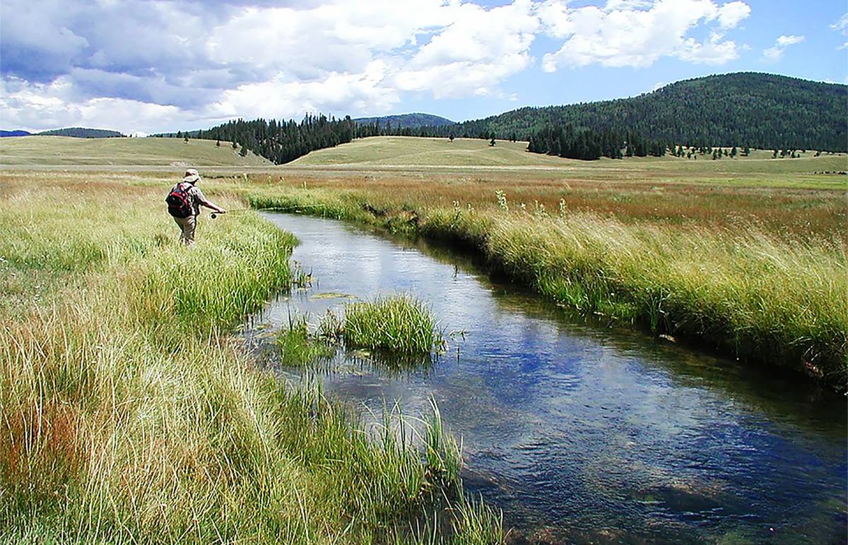 LateSummer Fly Fishing Try the HopperDropper GearJunkie