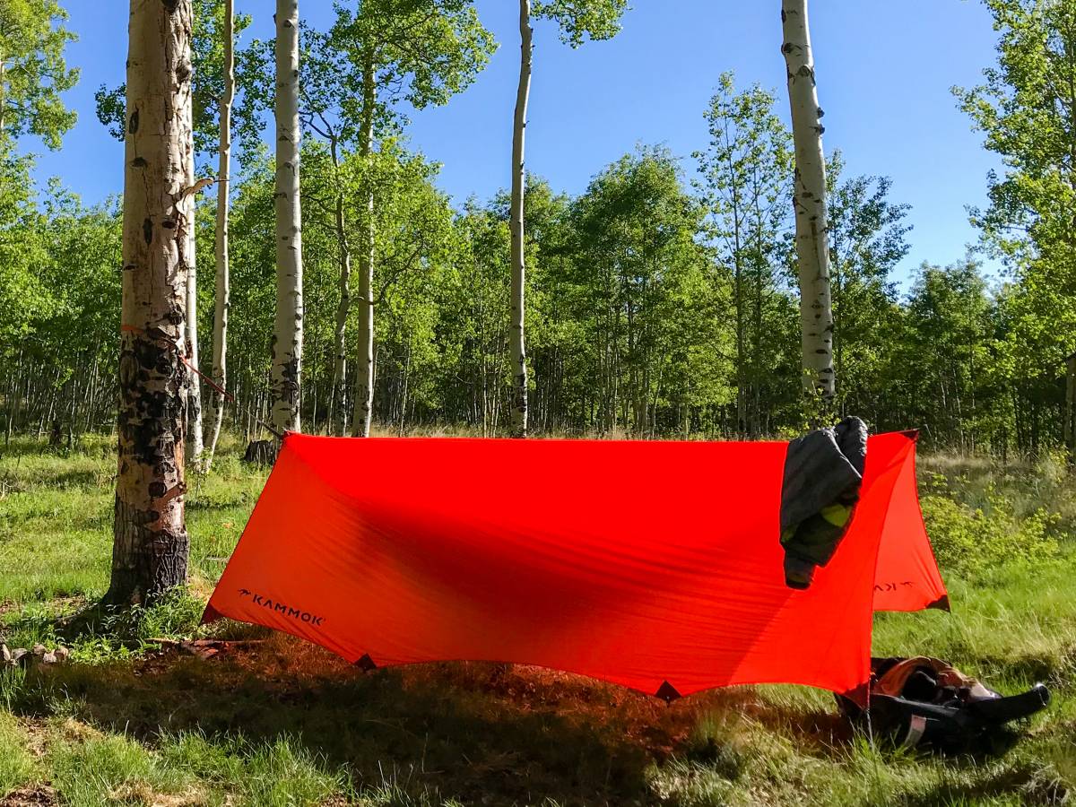 Tents vs. Hammocks How a Traditional Camper Took to Sleeping in Trees