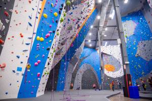 Movement Gym Joins El Cap, Expands America’s Largest Climbing Network