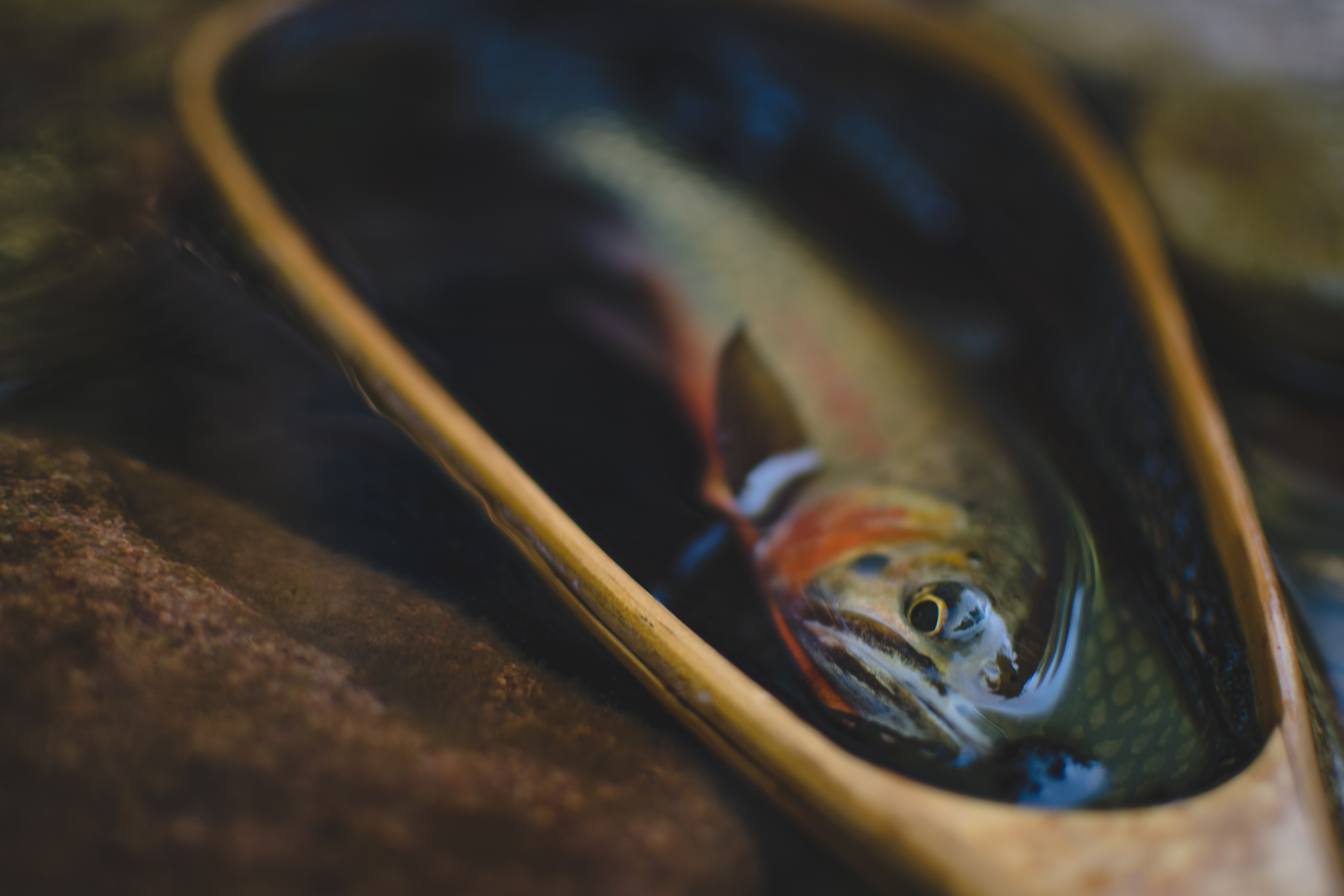 Fly fishing photography tips
