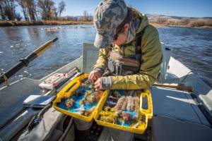 Top Streamers and Tactics for Fall Fly Fishing