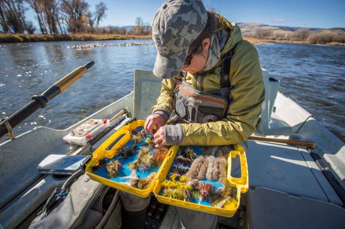 Top Streamers and Tactics for Fall Fly Fishing