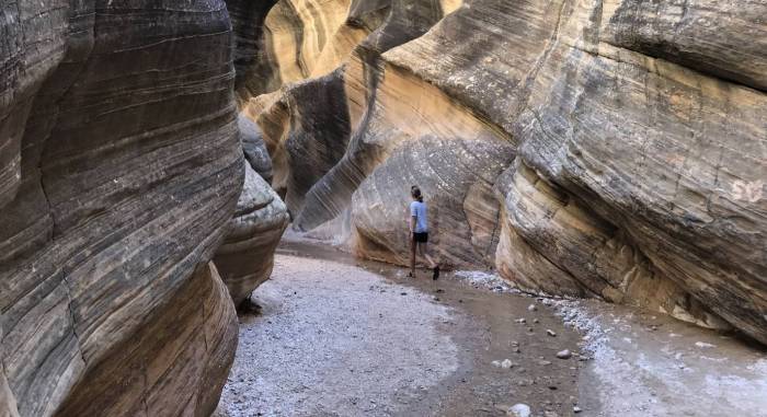 Road Trip Upgrade: ‘Bivy’ App Adds Adventure Anywhere