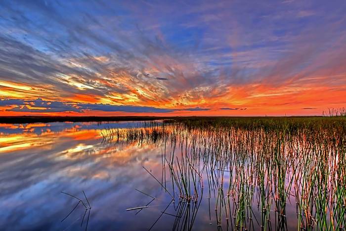 Everglades National Park; photo by Department of the Interior