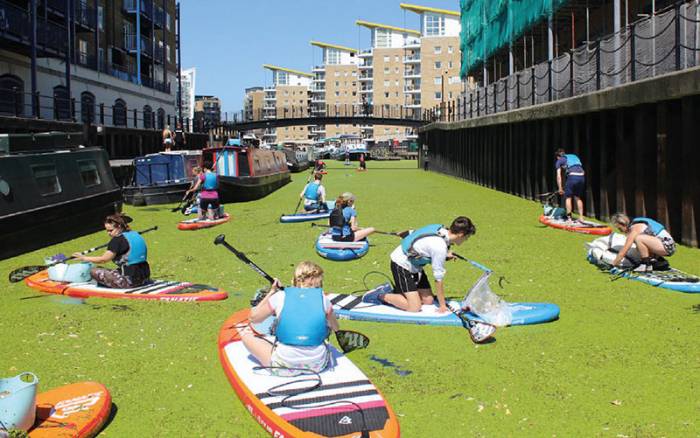 Lizzie Carr Plastic Patrol