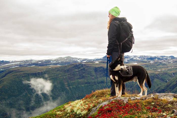 How to Train Your Dog for Hiking