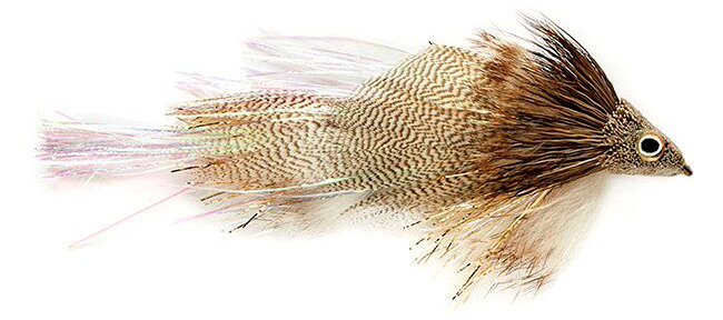 Mini Drunk and Disorderly