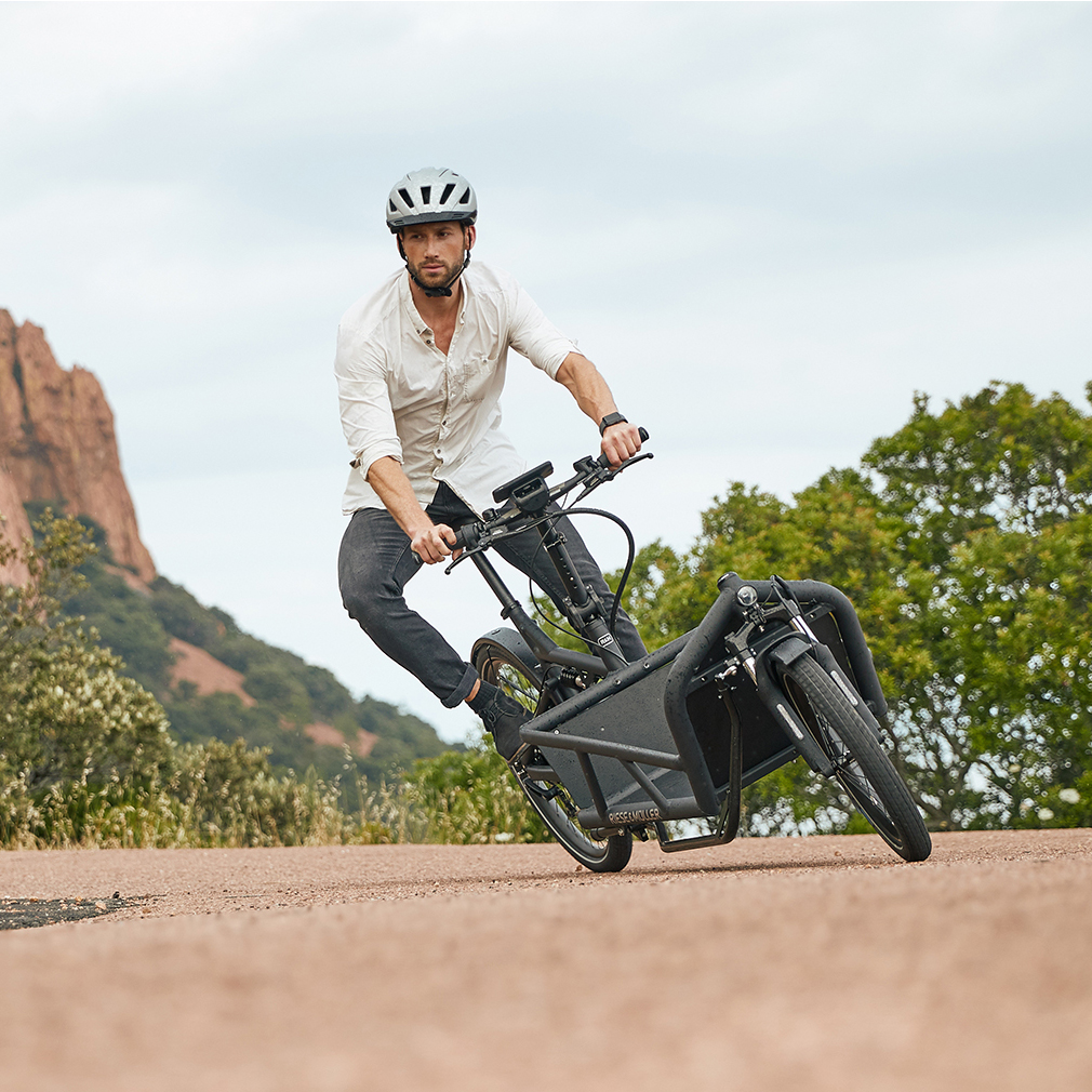 Riese and Muller e cargo bike