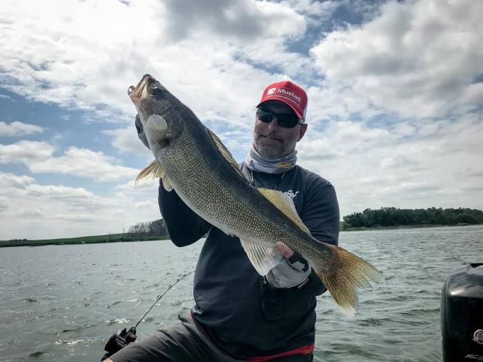 Late-Summer Lunkers: Tips for Midwest Walleye Fishing