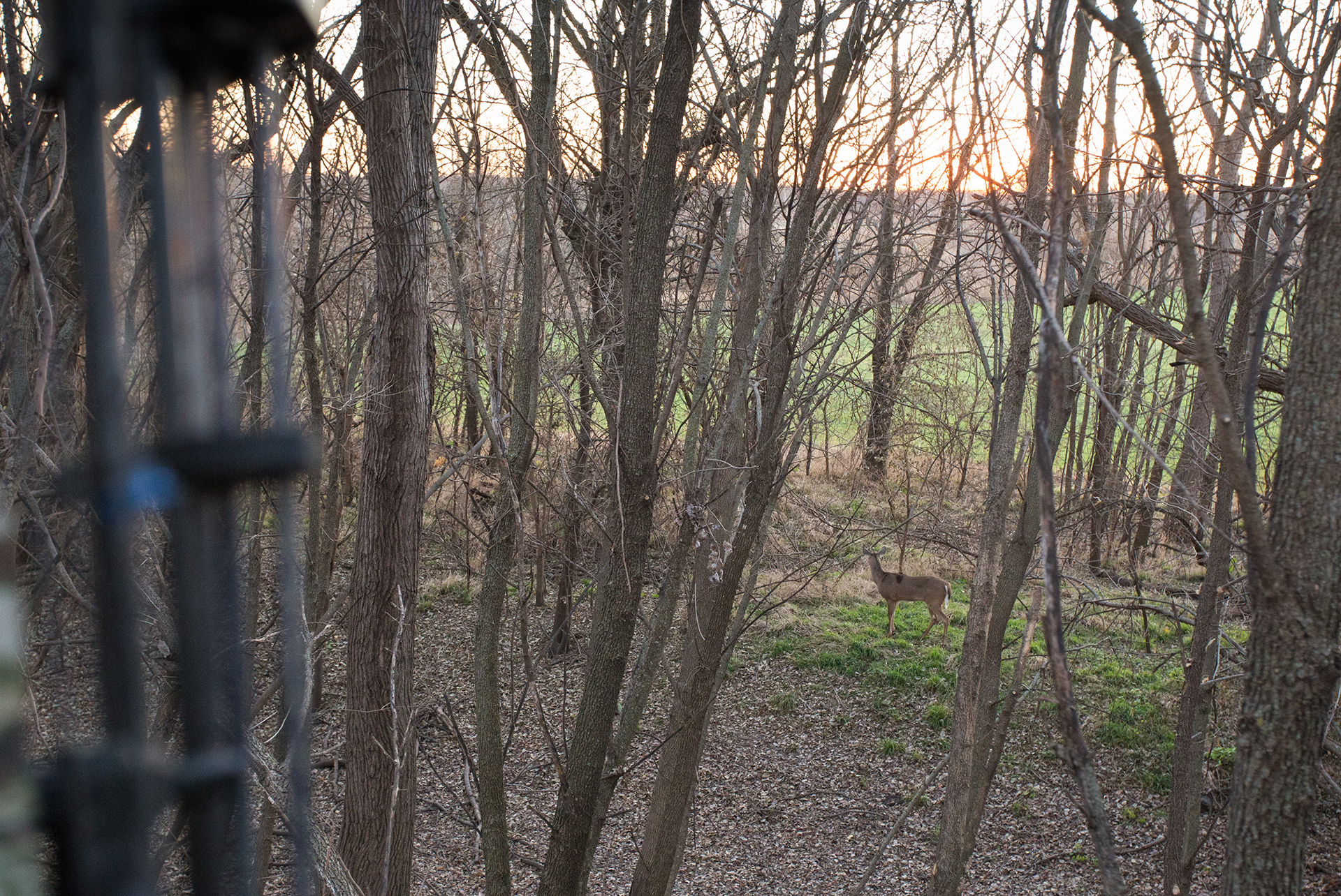 Hook & Bullet Bargains: 4 Hunting Deals on Sale Now