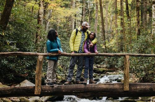 Family Hiking in the Woods