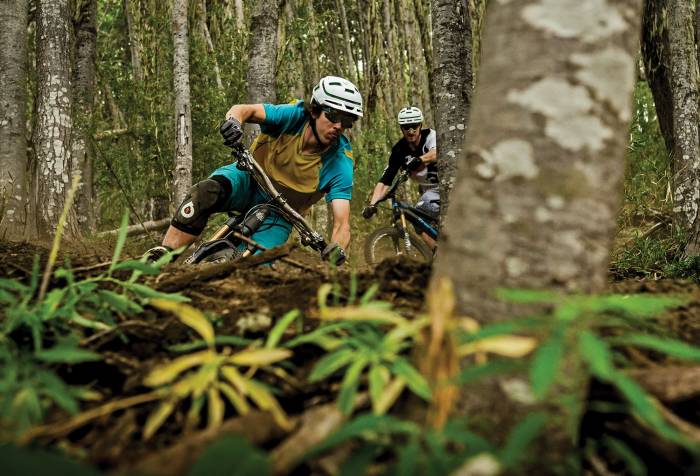 The Bestselling Gear at Competitive Cyclist This Week