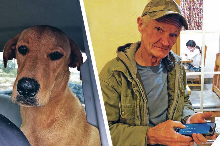 Friendly Fire: Hunting Dog Shoots Owner With Shotgun