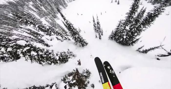 faction collective POV series