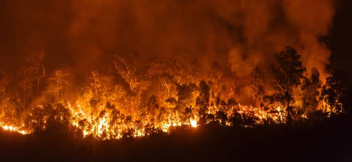 Stone Glacier Hosts Sporting Goods Drive for Victims of California Wildfire