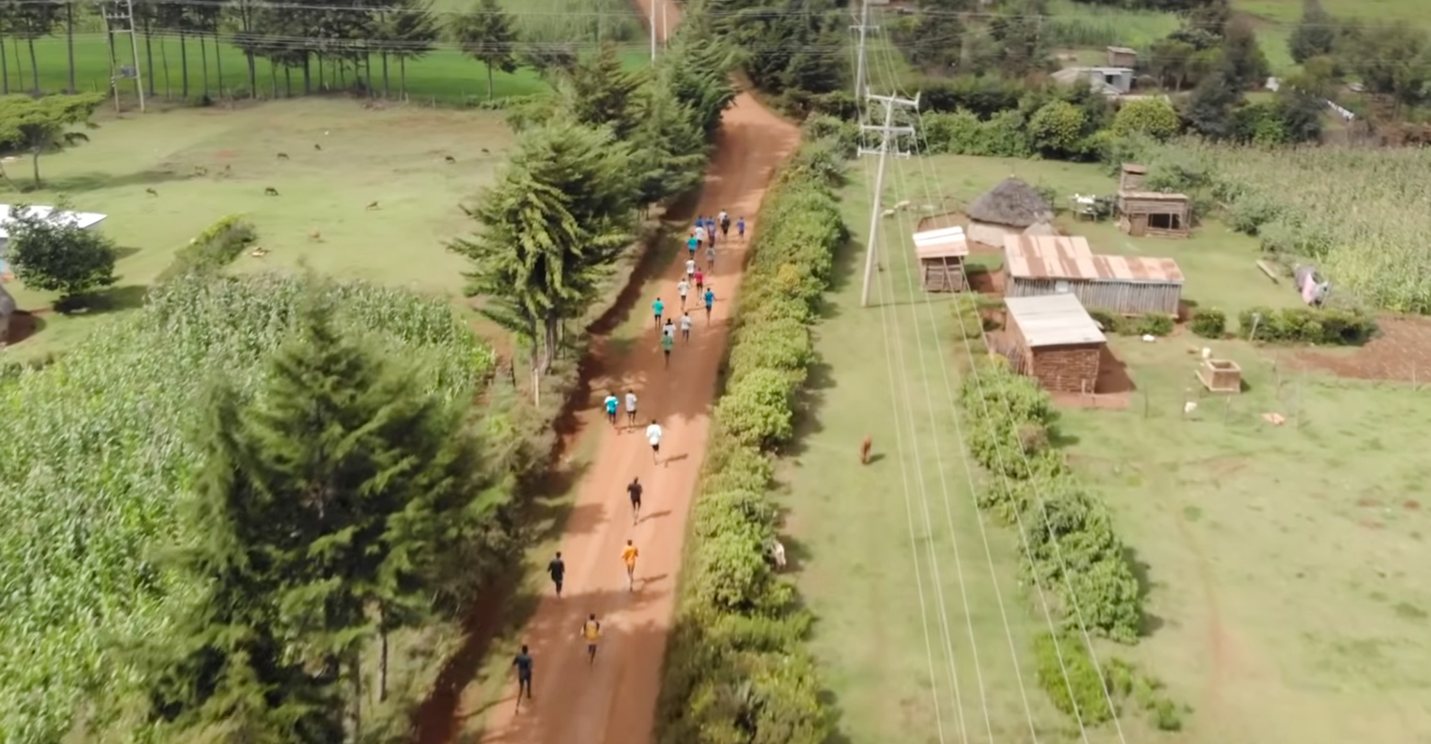 Watch: Kenyan Pro Runner Powers Her Home With BioLite Lights